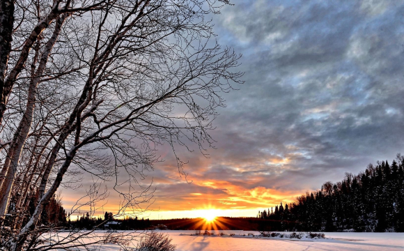 В Україні потеплішає до +11 градусів