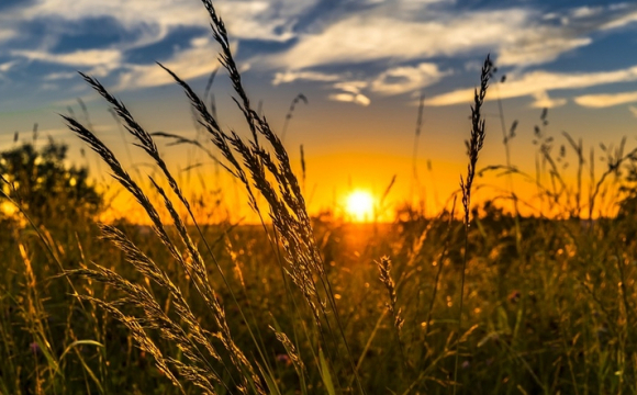 Синоптики здивували українців прогнозом погоди: чого чекати