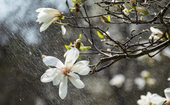 Якою буде погода у квітні на Волині