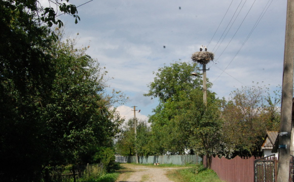 Що заборонено робити після обіду 26 вересня