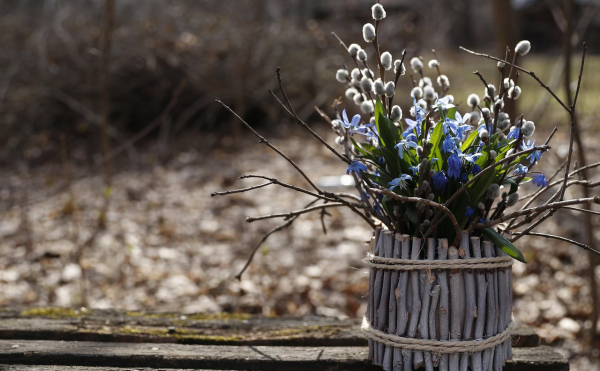 Коли в Україні святкують Вербну неділю: народні звичаї та прикмети