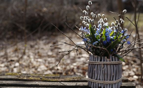 Коли в Україні святкують Вербну неділю: народні звичаї та прикмети