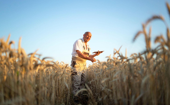 Агро фінансування для сезонного бізнесу: як кредити допомагають пережити міжсезоння