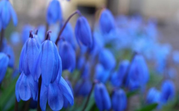 Яке свято відзначають українці 19 квітня: народні прикмети і традиції