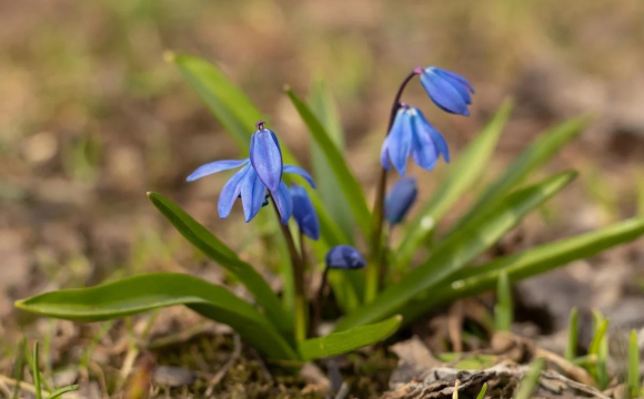 Україну накриє 25 градусів тепла: названа дата