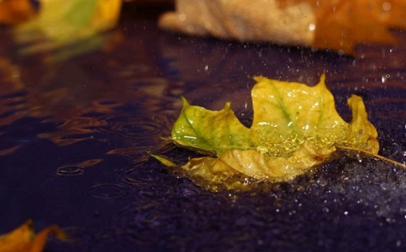 Стало відомо, коли в Україні стане менше дощів