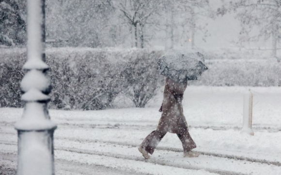 На заході України понад 150 населених пунктів без світла через снігопад