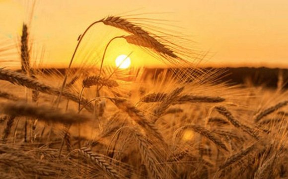 Стало відомо, якою буде погода в останній місяць літа