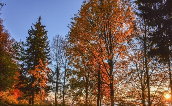 Яке свято відзначають українці 9 листопада: народні прикмети і традиції