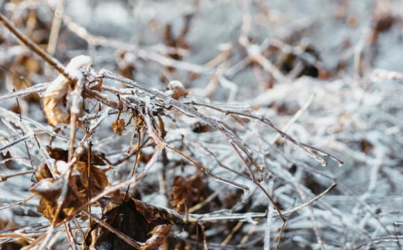 Яке свято відзначають українці 31 січня: народні прикмети і традиції