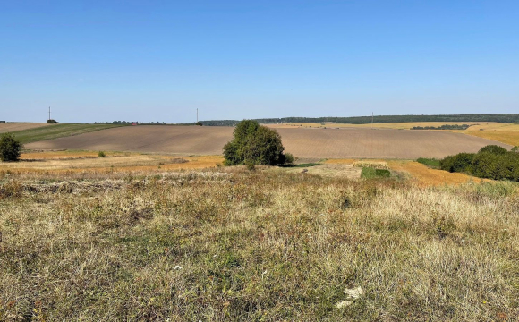 Українців закликають терміново переоформити паї