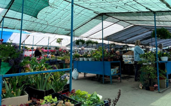 На Волині масово перевіряють продавців: у чому причина