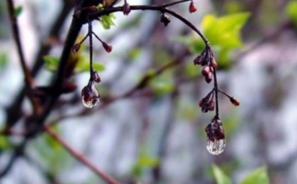 На Волинь насувається різке похолодання