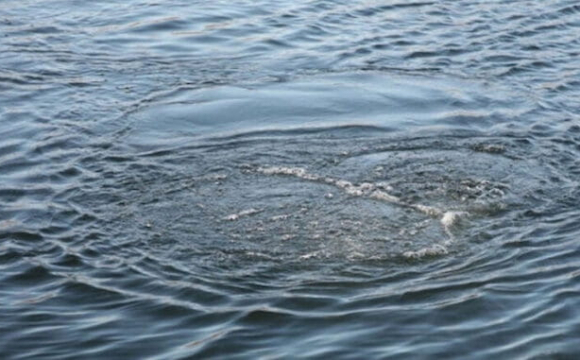 На заході України у водоймі знайшли тіло 3-річної дитини