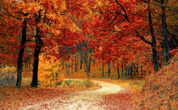 Яке свято відзначають українці 15 листопада: народні прикмети і традиції