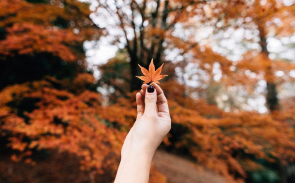 Астрологи назвали знаки Зодіаку, які розпочнуть новий етап життя у жовтні