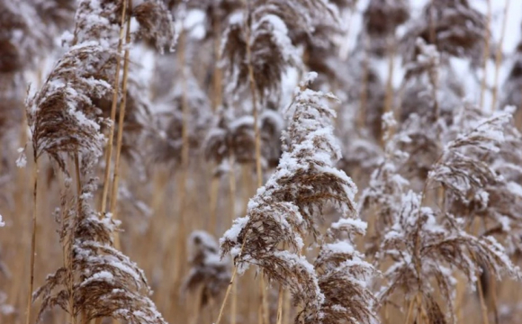 Українців попередили про сніг та морози