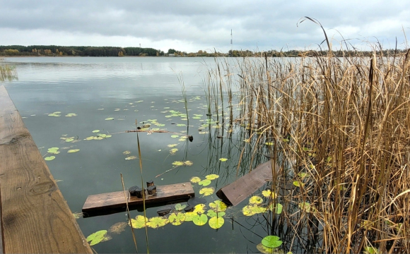 У нацпарку на Волині вандали потрощили екостежку