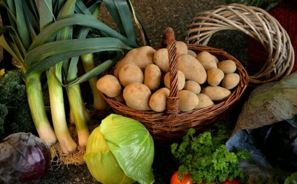 В Україні стрімко скорочується врожай базового продукту: фермери б'ють на сполох