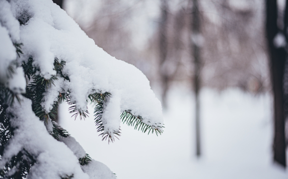 Якою буде погода на Волині на Святвечір та Різдво