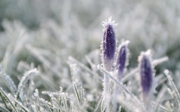 Україну накриють небезпечні заморозки: у яких областях буде найхолодніше