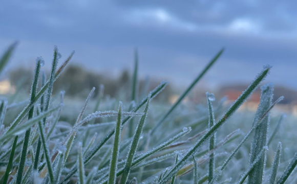 В Україні вдарять перші осінні заморозки