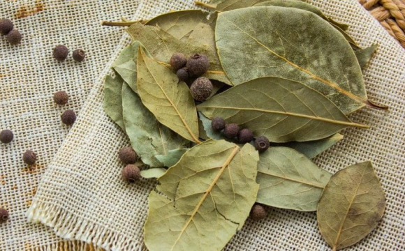 Українців закликали спалити лавровий лист у березні: життя може різко змінитися