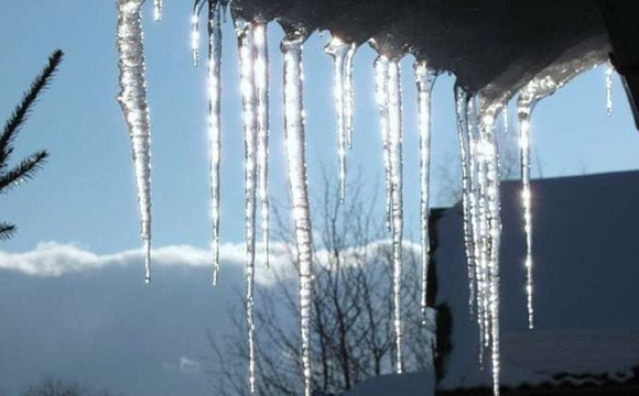 На Волинь насувається небезпека через потепління