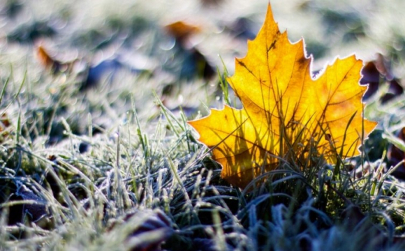 Осіннє похолодання: прогноз погоди на Волині 27 вересня