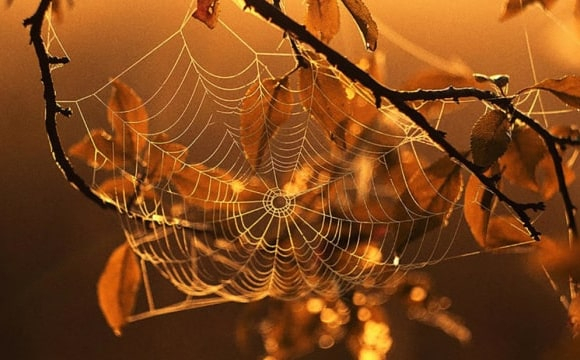 Чи буде ще в Україні «бабине літо»