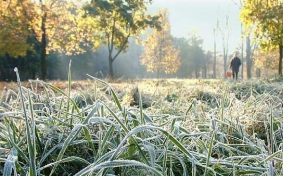 Синоптики розповіли, чи прийде в Україну різке похолодання у серпні