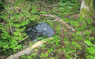 У лісі знайшли тіло 29-річного чоловіка