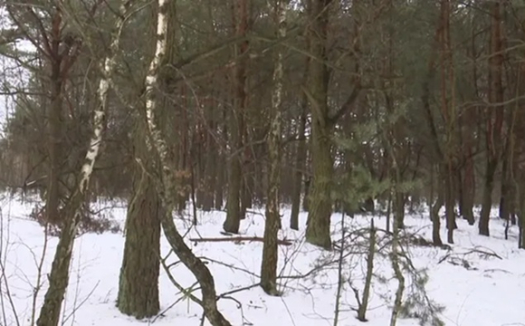 У лісі на Волині знайшли тіло 35-річного чоловіка: діти залишилися без батька