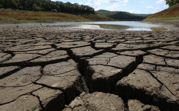 В Україні катастрофічно міліють водойми: що відбувається