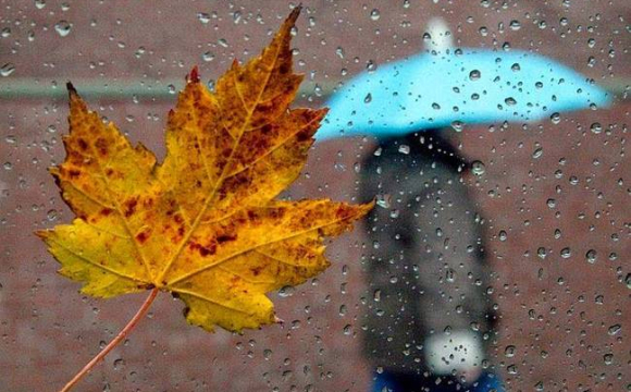 Температура в Україні впаде нижче +10 градусів: відома дата