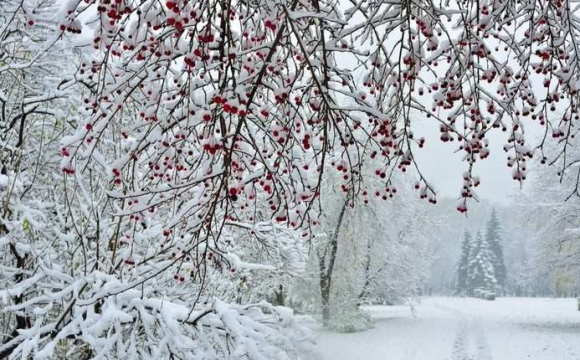 Українців попередили про надзвичайно важку зиму