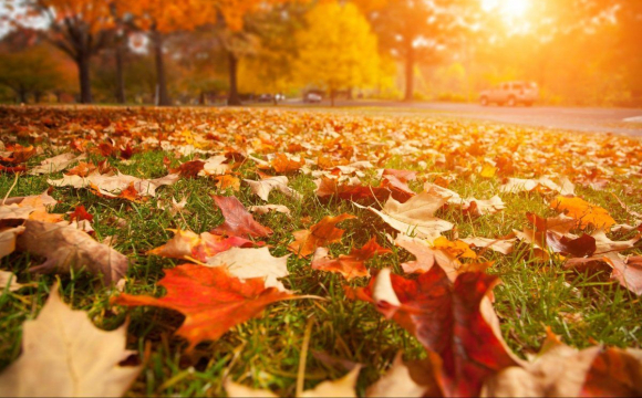 В Україну йде аномально тепла погода