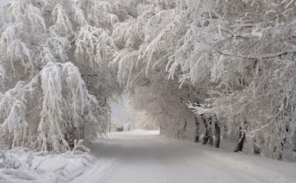 Синоптики попередили про сильні морози та суху погоду на початку тижня