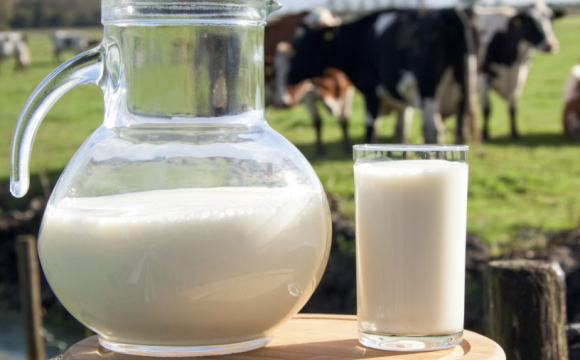 Органічний ринок України пробив планку в мільярд гривень, а молоко стало лідером продажів