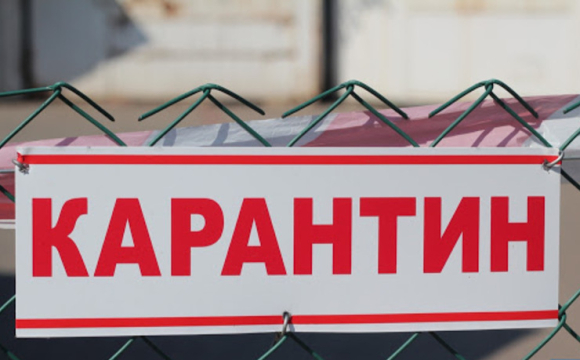 На заході України запровадили карантин: що сталося