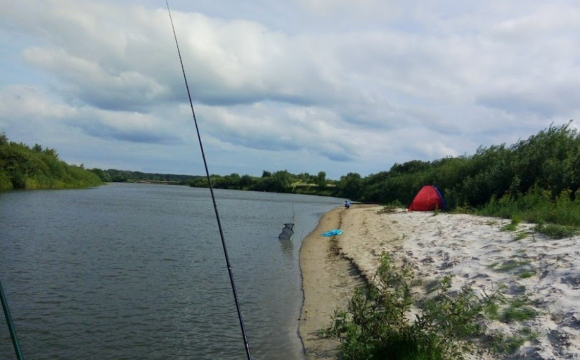 На заході України чоловік зловив величезну рибу