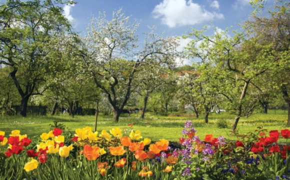 Яке свято відзначають українці 21 березня: народні прикмети і традиції