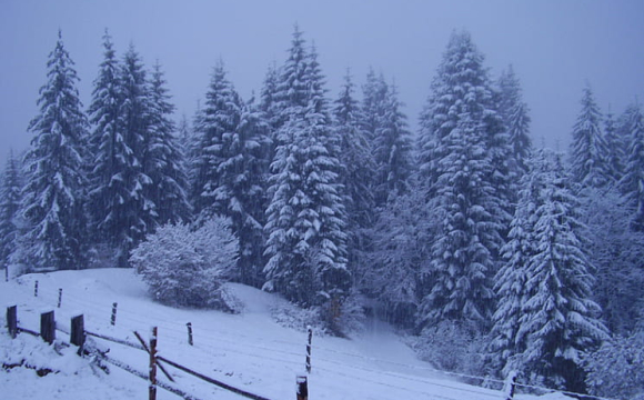 Стало відомо, чи є загроза лавин у Карпатах 