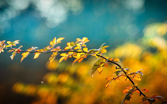 Таємниці майбутнього: гороскоп на 30 листопада для всіх знаків Зодіаку
