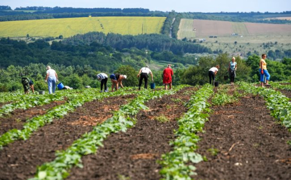 В українців можуть забрати землю
