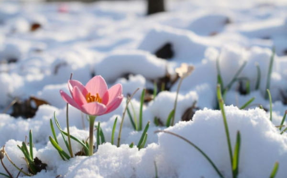 Якою буде погода в Україні у перший день весни