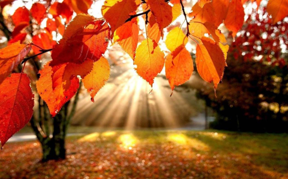 Синоптик розповів, якою буде погода в Україні на вихідні