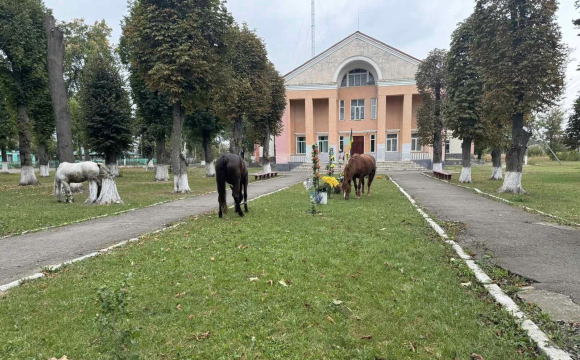 У селі на заході України худобу випасають на алеї пам`яті загиблих Героїв