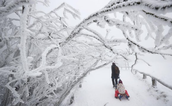 На Волині можуть початися аварійні відключення світла через снігопад