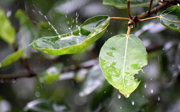 Українців попереджають про різку зміну погоди